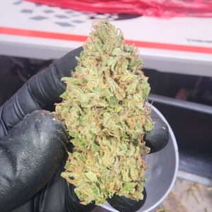 Sour Dividend (10 Regular Seeds)