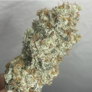 Dream Weaver (10 Regular Seeds)